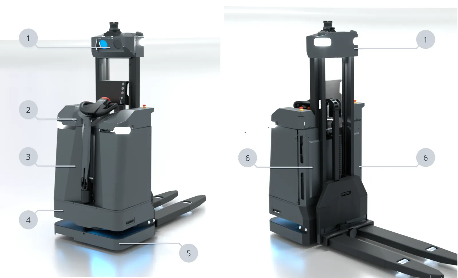 Identifications of the compartments.
